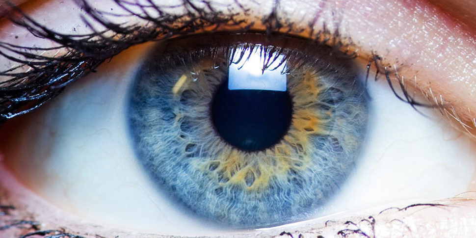 В США людям вживят прямо в мозг чип для восстановления зрения